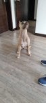 20220827_065513.jpg